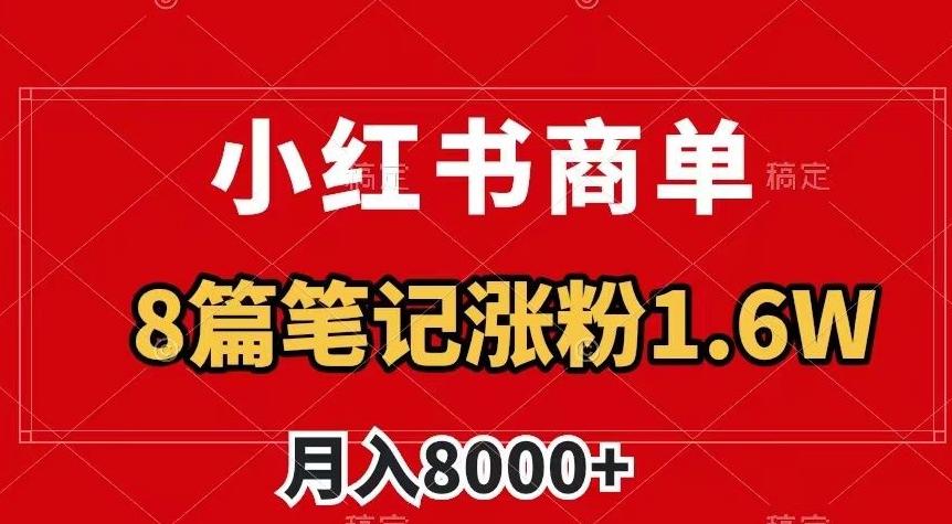 小红书商单最新玩法，8篇笔记涨粉1.6w，作品制作简单，月入8000+【揭秘】-豪讯资源网
