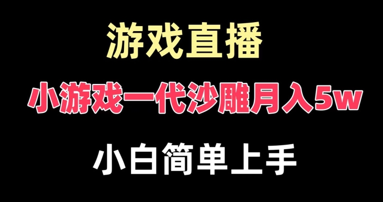 玩小游戏一代沙雕月入5w，爆裂变现，快速拿结果，高级保姆式教学【揭秘】-豪讯资源网