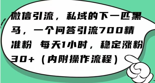 怎么搞精准创业粉？微信新赛道，每天一小时，利用Ai一个问答日引100精准粉-豪讯资源网