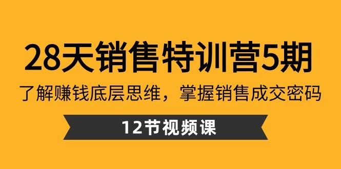 28天销售特训营5期：了解赚钱底层思维，掌握销售成交密码（12节课）-豪讯资源网