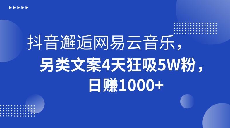 抖音邂逅网易云音乐，另类文案4天狂吸5W粉，日赚1000+【揭秘】-豪讯资源网