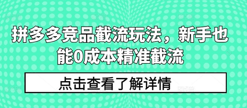 拼多多竞品截流玩法，新手也能0成本精准截流-豪讯资源网