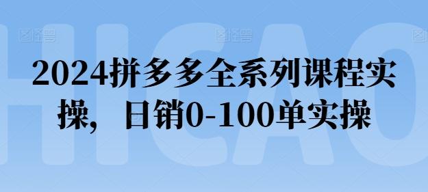 2024拼多多全系列课程实操，日销0-100单实操【必看】-豪讯资源网