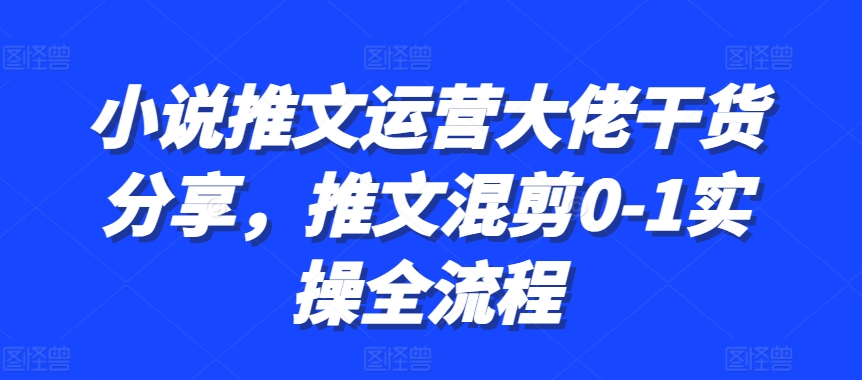 小说推文运营大佬干货分享，推文混剪0-1实操全流程-豪讯资源网