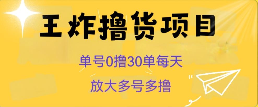 王炸撸货项目，单号0撸30单每天，多号多撸【揭秘】-豪讯资源网