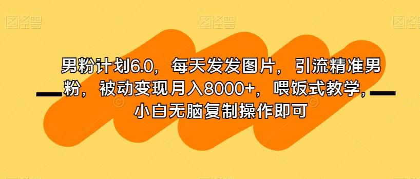 男粉计划6.0，每天发发图片，引流精准男粉，被动变现月入8000+，喂饭式教学，小白无脑复制操作即可-豪讯资源网