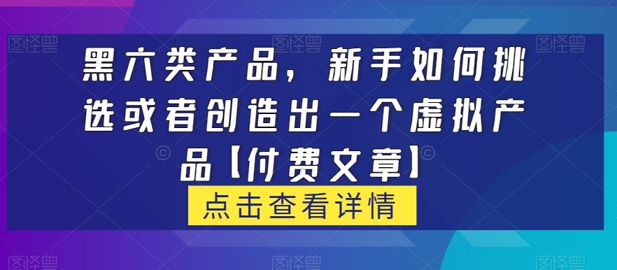黑六类虚拟产品，新手如何挑选或者创造出一个虚拟产品【付费文章】-豪讯资源网