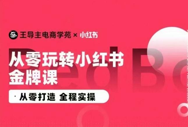 王导主·小红书电商运营实操课，​从零打造  全程实操-豪讯资源网