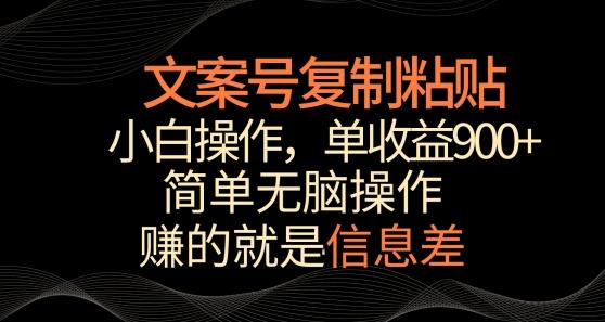 文案号掘金，简单复制粘贴，小白操作，单作品收益900+【揭秘】-豪讯资源网