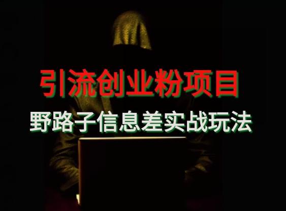 【引流创业粉】野路子信息差玩法实战教学-豪讯资源网
