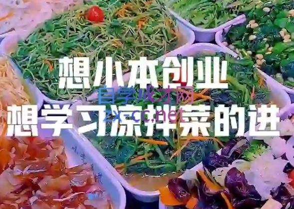 李记·精品凉拌菜系列热卤系列教程-豪讯资源网