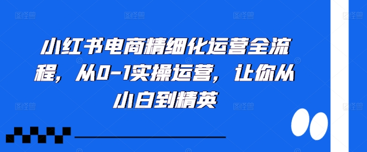 小红书电商精细化运营全流程，从0-1实操运营，让你从小白到精英-豪讯资源网
