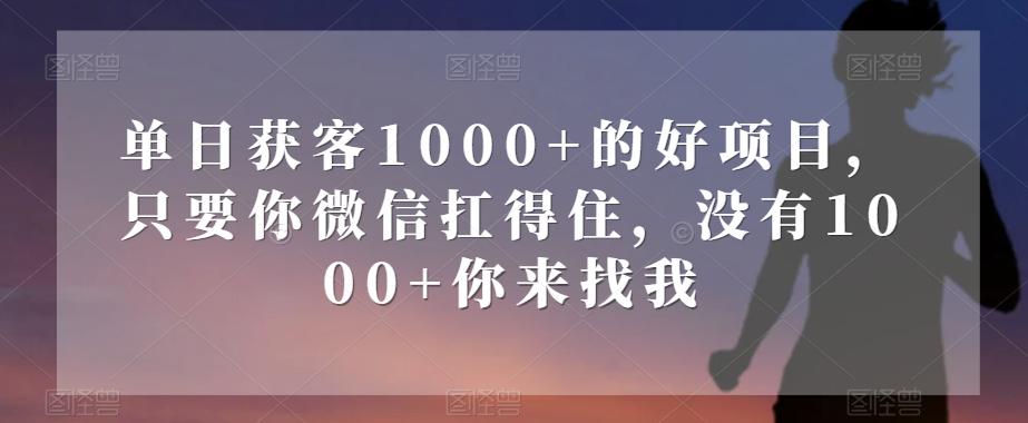 单日获客1000+的好项目，只要你微信扛得住，没有1000+你来找我【揭秘】-豪讯资源网