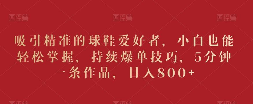吸引精准的球鞋爱好者，小白也能轻松掌握，持续爆单技巧，5分钟一条作品，日入800+【揭秘】-豪讯资源网