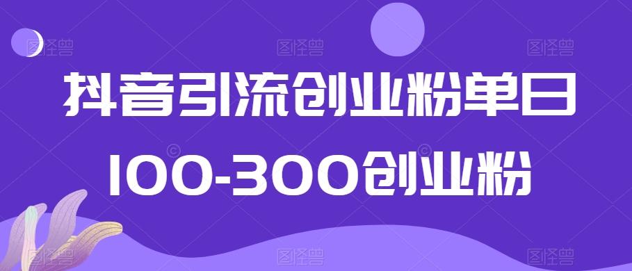 抖音引流创业粉单日100-300创业粉【揭秘】-豪讯资源网