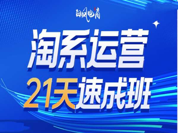淘系运营21天速成班35期，年前最后一波和2025方向-豪讯资源网