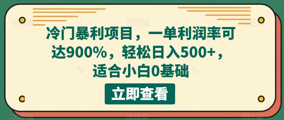 冷门暴利项目，一单利润率可达900%，轻松日入500+，适合小白0基础-豪讯资源网