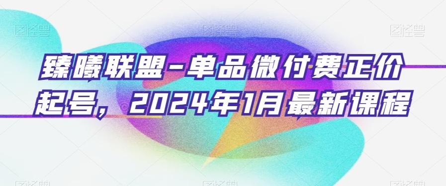 臻曦联盟-单品微付费正价起号，2024年1月最新课程-豪讯资源网
