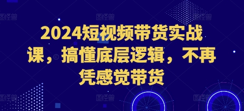 2024短视频带货实战课，搞懂底层逻辑，不再凭感觉带货-豪讯资源网