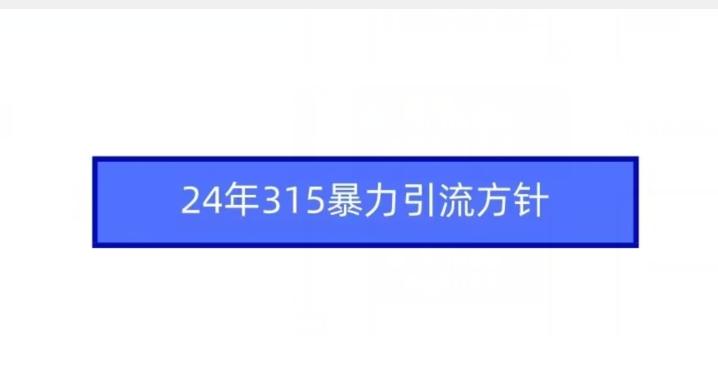 24年315暴力引流方针-豪讯资源网
