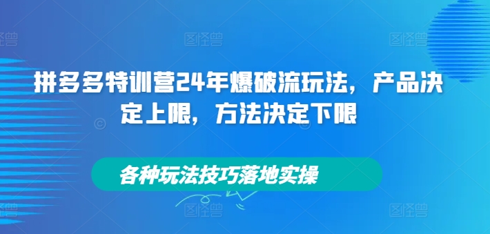 拼多多特训营24年爆破流玩法，产品决定上限，方法决定下限，各种玩法技巧落地实操-豪讯资源网