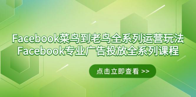 Facebook-菜鸟到老鸟全系列运营玩法+Facebook-专业广告投放全系列课程-豪讯资源网