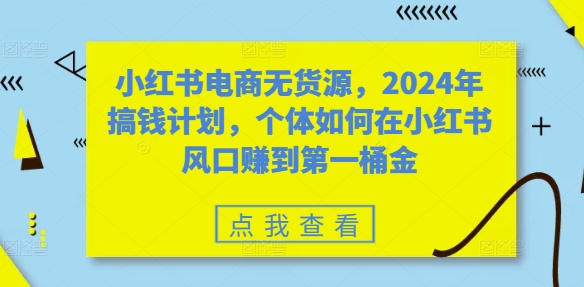 小红书电商无货源，2024年搞钱计划，个体如何在小红书风口赚到第一桶金-豪讯资源网