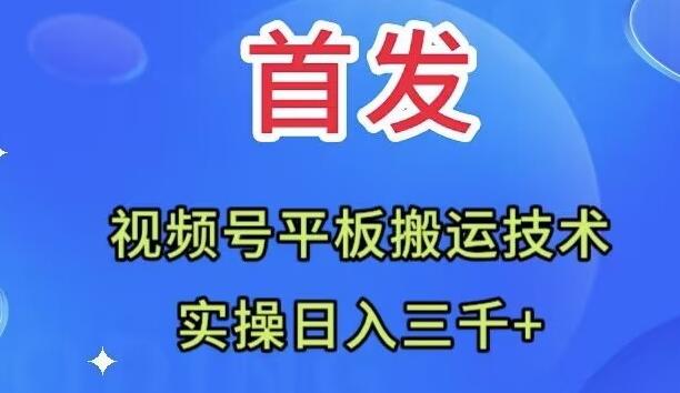 全网首发：视频号平板搬运技术，实操日入三千＋-豪讯资源网