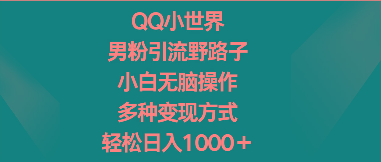 QQ小世界男粉引流野路子，小白无脑操作，多种变现方式轻松日入1000＋-豪讯资源网