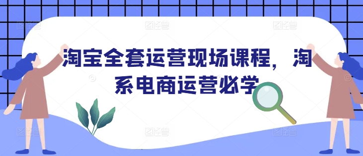 淘宝全套运营现场课程，淘系电商运营必学-豪讯资源网