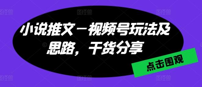 小说推文—视频号玩法及思路，干货分享-豪讯资源网