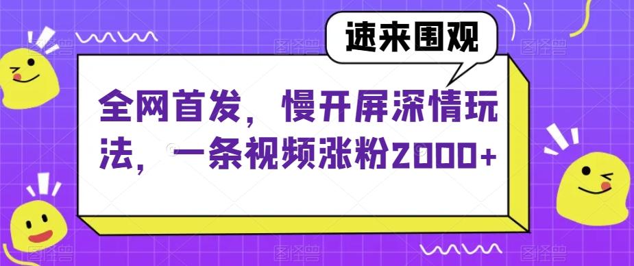 全网首发，慢开屏深情玩法，一条视频涨粉2000+【揭秘】-豪讯资源网
