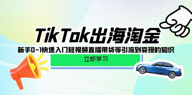 (10035期)TikTok-出海淘金，新手0-1快速入门短视频直播带货等引流到变现的知识-豪讯资源网