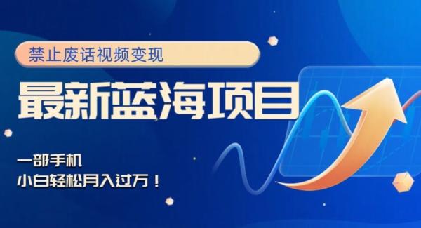 最新蓝海项目，靠禁止废话视频变现，一部手机，小白轻松月入过万！-豪讯资源网