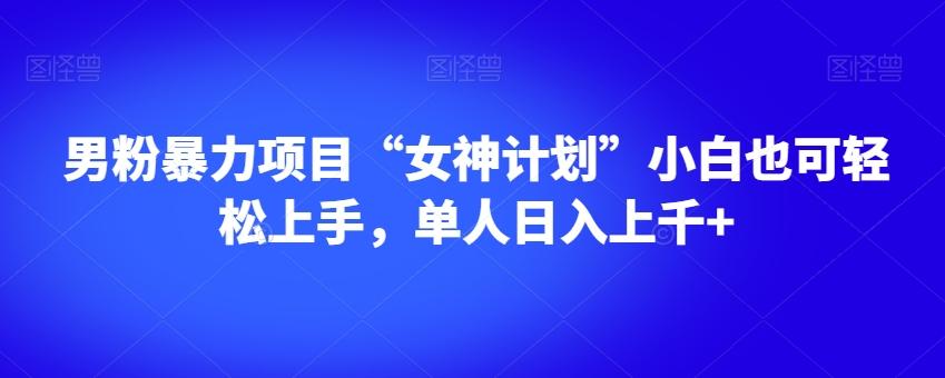男粉暴力项目“女神计划”小白也可轻松上手，单人日入上千+【揭秘】-豪讯资源网