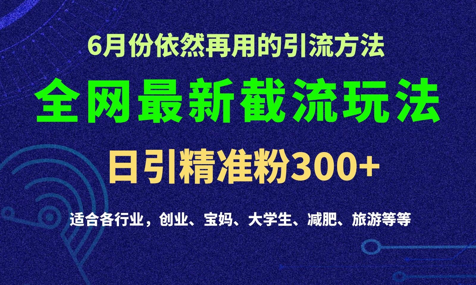 2024全网最新截留玩法，每日引流突破300+-豪讯资源网