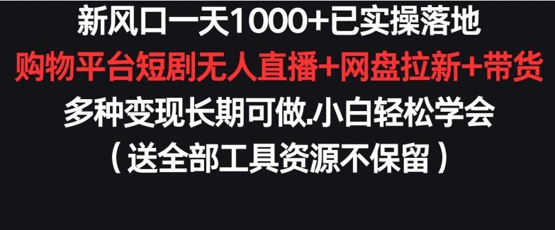 新风口一天1000+已实操落地购物平台短剧无人直播+网盘拉新+带货多种变现长期可做【揭秘】-豪讯资源网