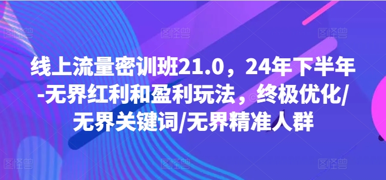 线上流量密训班21.0，24年下半年-无界红利和盈利玩法，终极优化/无界关键词/无界精准人群-豪讯资源网