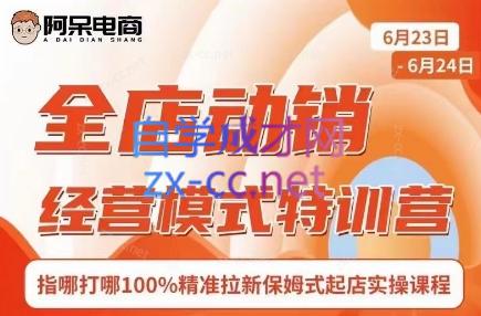 阿呆电商·全店动销经营模式特训营(线下录音+思维导图)-豪讯资源网