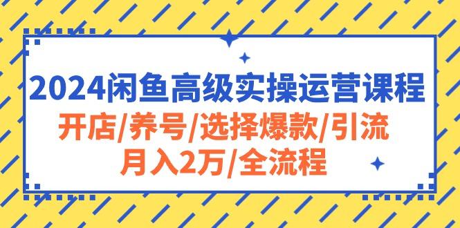 2024闲鱼高级实操运营课程：开店/养号/选择爆款/引流/月入2万/全流程-豪讯资源网
