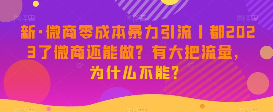 新·微商零成本暴力引流丨都2023了微商还能做？有大把流量，为什么不能？-豪讯资源网