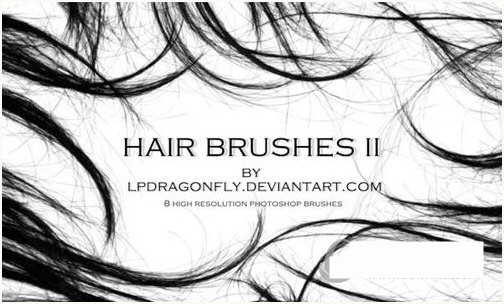 PS发丝笔刷-豪讯资源网