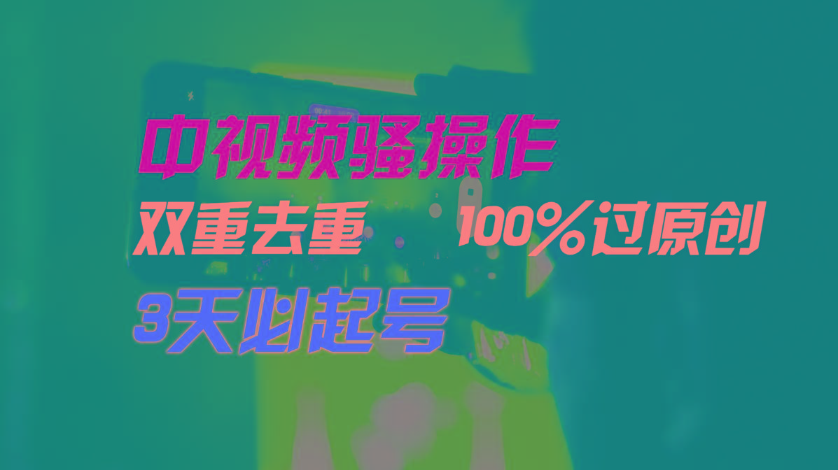中视频骚操作，双重去重100%过原创，3天比必起号，简单无脑，月入3W+-豪讯资源网