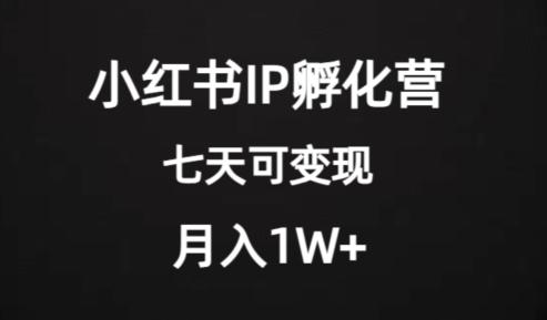 价值2000+的小红书IP孵化营项目，超级大蓝海，七天即可开始变现，稳定月入1W+-豪讯资源网