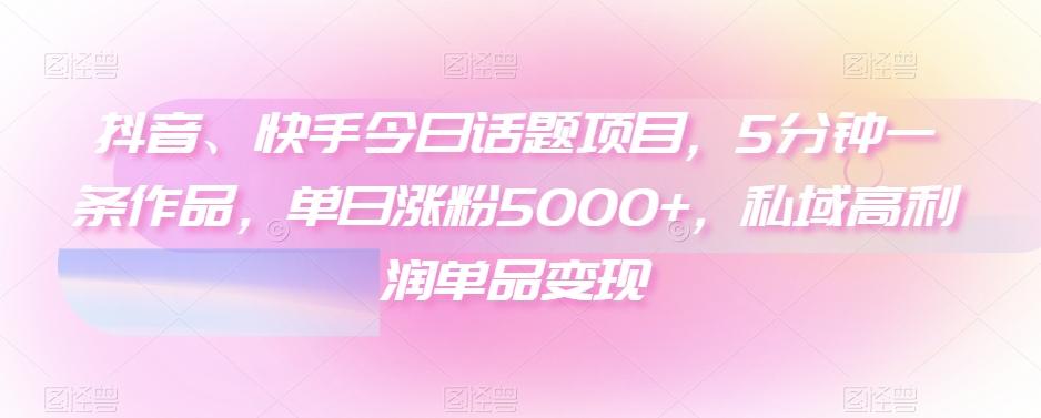 抖音、快手今日话题项目，5分钟一条作品，单日涨粉5000+，私域高利润单品变现-豪讯资源网