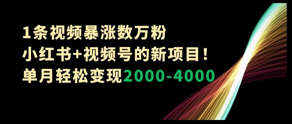 1条视频暴涨数万粉--小红书+视频号的新项目！单月轻松变现2000-4000【揭秘】-豪讯资源网