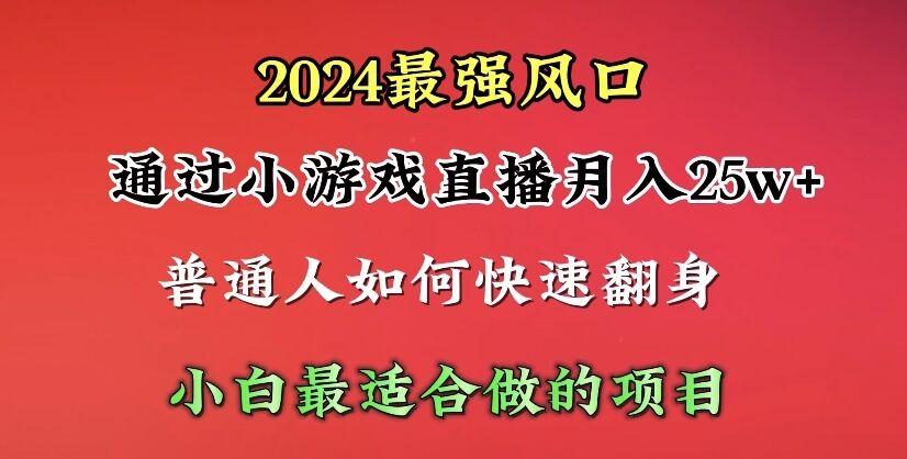 (10020期)2024年最强风口，通过小游戏直播月入25w+单日收益5000+小白最适合做的项目-豪讯资源网
