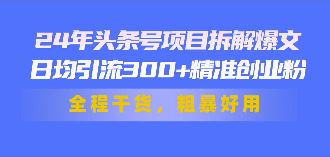 24年头条号项目拆解爆文，日均引流300+精准创业粉，全程干货，粗暴好用-豪讯资源网
