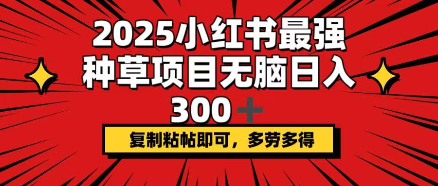 2025小红书最强种草项目，无脑日入300+，复制粘帖即可，多劳多得-豪讯资源网