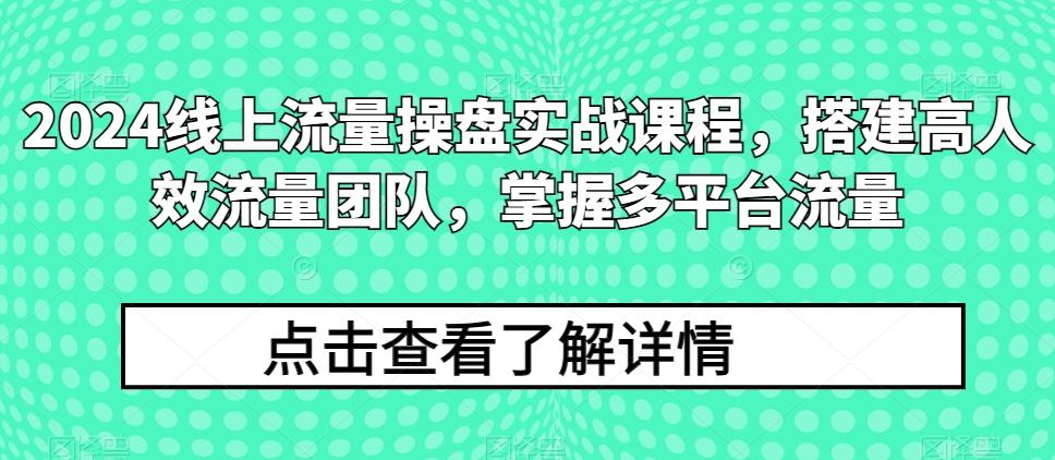 2024线上流量操盘实战课程，搭建高人效流量团队，掌握多平台流量-豪讯资源网
